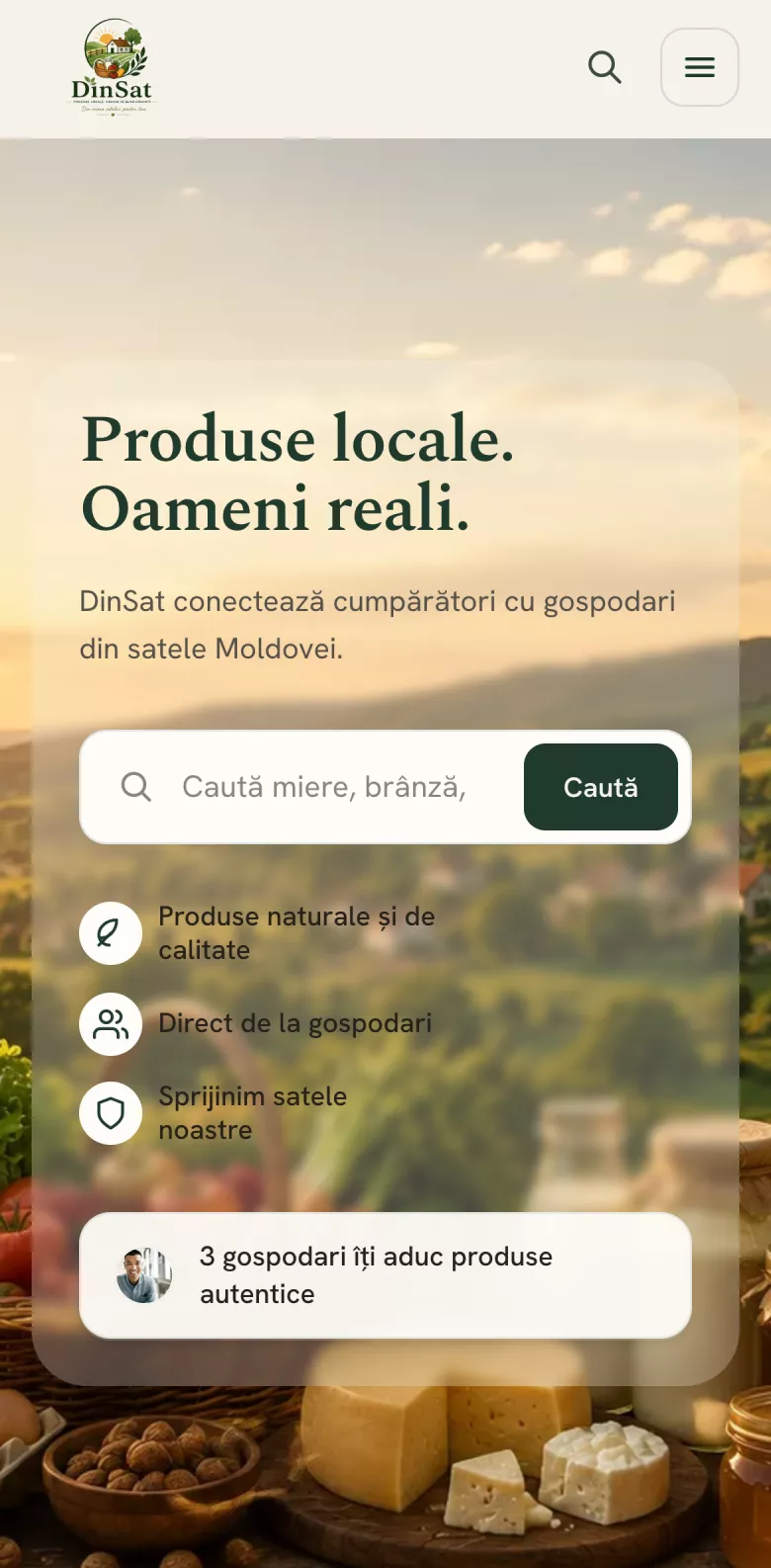 DinSat.md website, mobile view